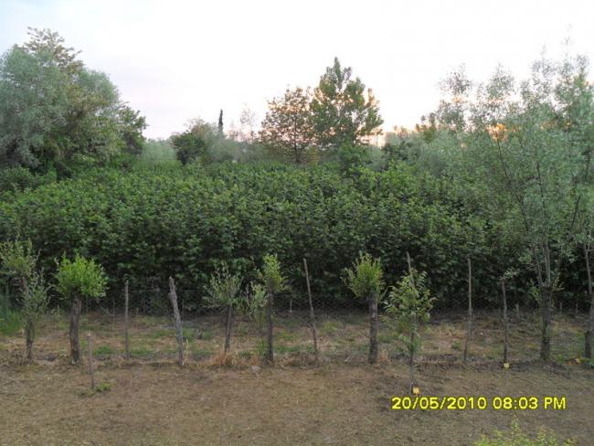 Name:  Resim 733.jpg
Views: 1003
Size:  58.4 KB