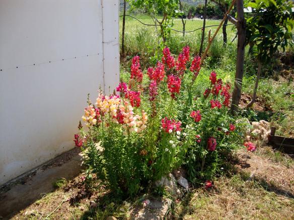 Name:  resimlerim 030.jpg
Views: 745
Size:  70.3 KB
