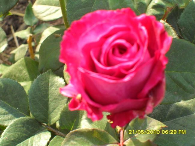 Name:  Resim 743.jpg
Views: 1027
Size:  43.7 KB