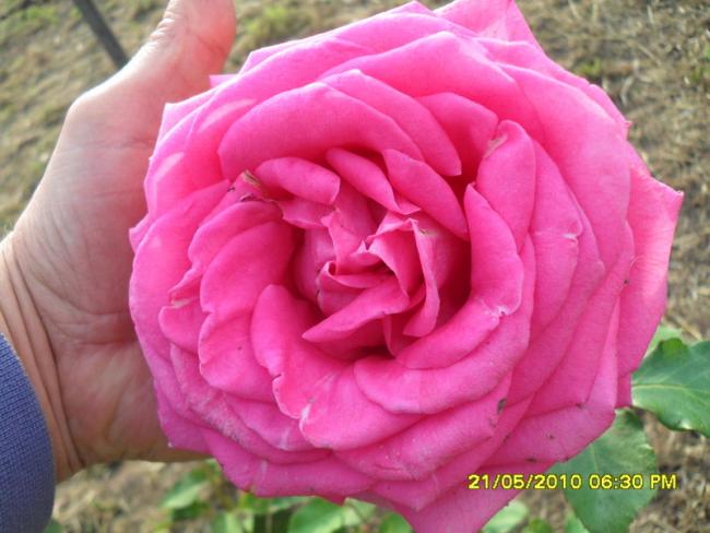Name:  Resim 744.jpg
Views: 2227
Size:  44.4 KB