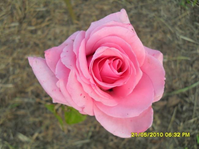 Name:  Resim 747.jpg
Views: 956
Size:  35.4 KB