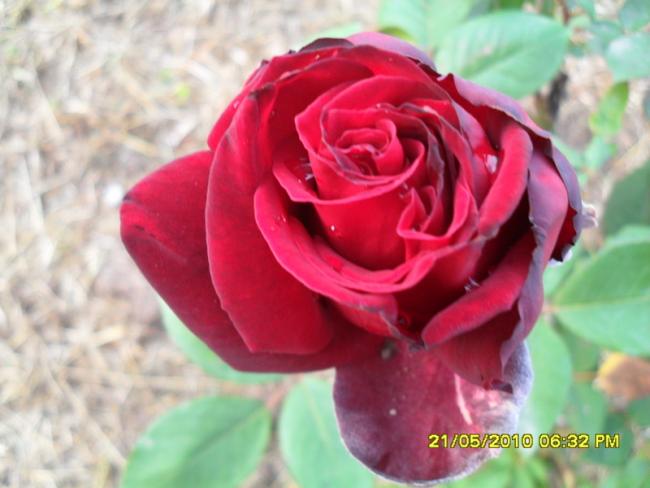 Name:  Resim 748.jpg
Views: 961
Size:  37.9 KB