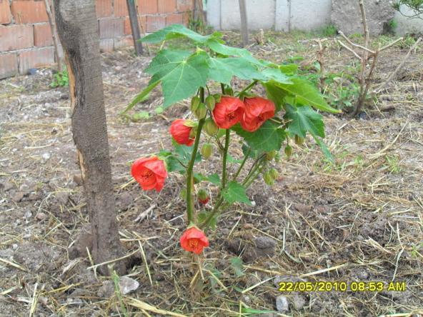 Name:  Resim 751.jpg
Views: 1307
Size:  71.8 KB
