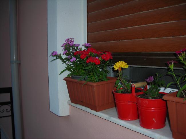 Name:  DSCN1625.jpg
Views: 1076
Size:  33.6 KB