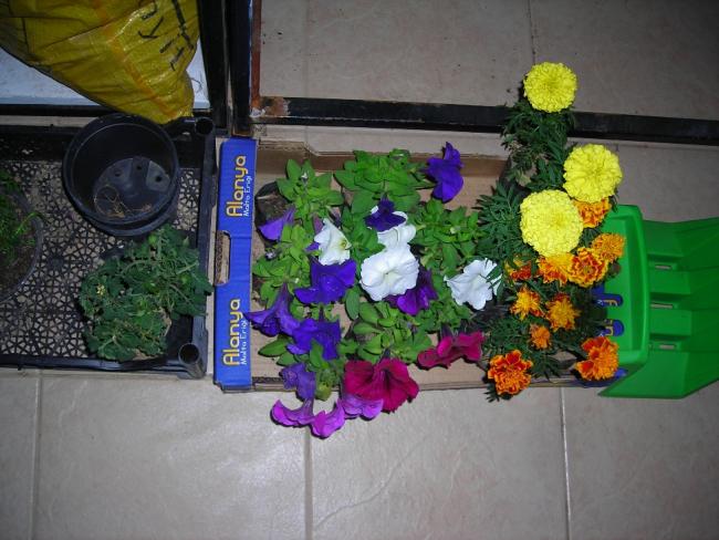 Name:  DSCN1719.jpg
Views: 1031
Size:  53.5 KB