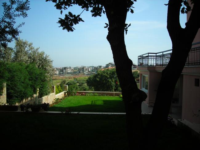 Name:  DSCN1769.jpg
Views: 1052
Size:  42.5 KB