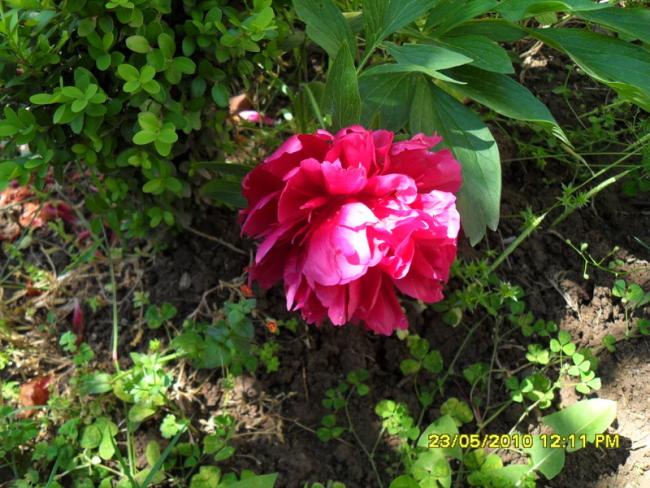 Name:  Resim 758.jpg
Views: 992
Size:  68.3 KB