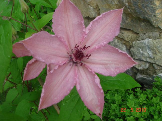Name:  DSC9700.jpg
Views: 603
Size:  44.9 KB