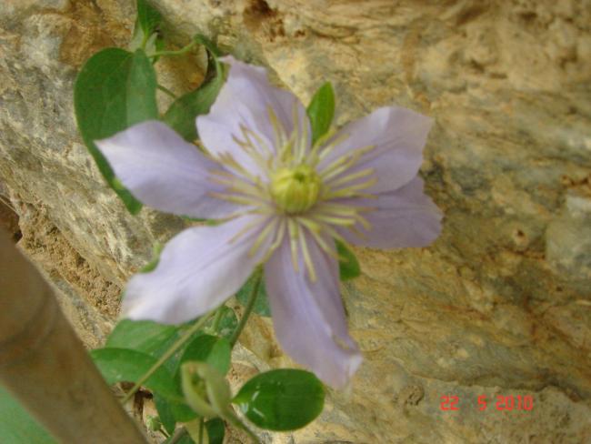 Name:  DSC9634.jpg
Views: 616
Size:  41.4 KB