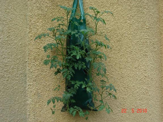 Name:  DSC9803.jpg
Views: 548
Size:  69.5 KB