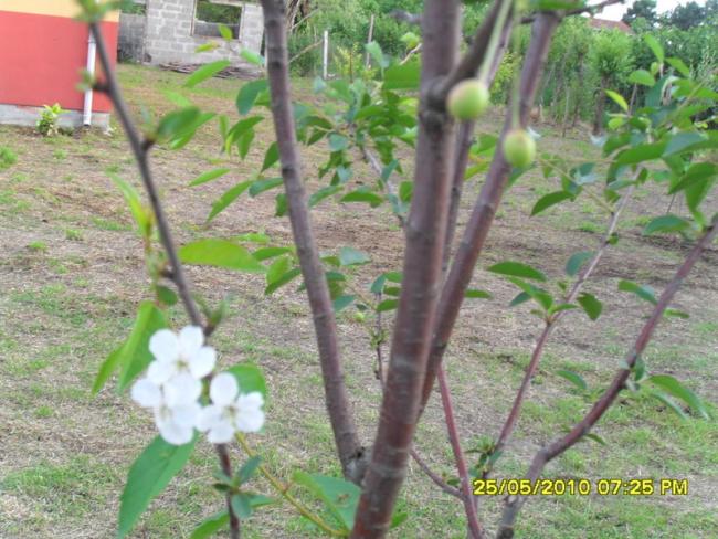 Name:  Resim 792.jpg
Views: 1028
Size:  64.6 KB