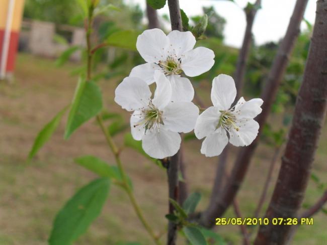Name:  Resim 794.jpg
Views: 1194
Size:  31.9 KB