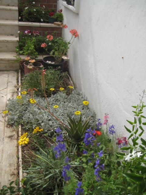 Name:  IMG_2271.jpg
Views: 862
Size:  55.1 KB