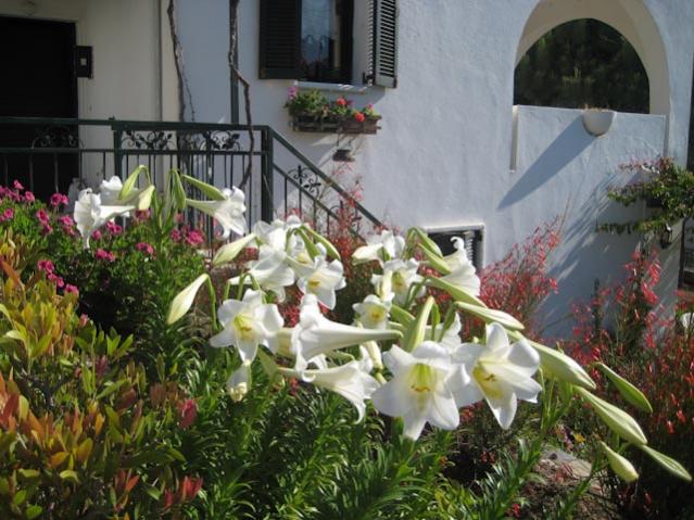 Name:  IMG_2338.jpg
Views: 851
Size:  60.3 KB
