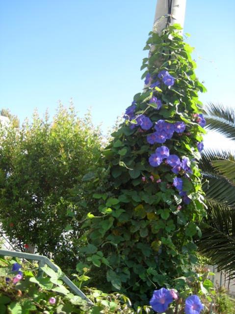 Name:  IMG_2337.jpg
Views: 835
Size:  57.8 KB