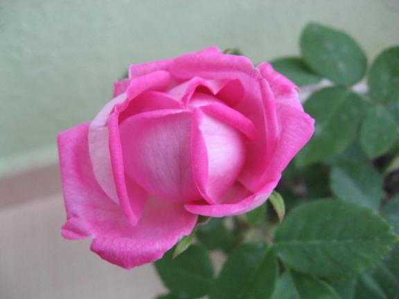 Name:  saksda gl 1.JPG
Views: 3345
Size:  27.1 KB