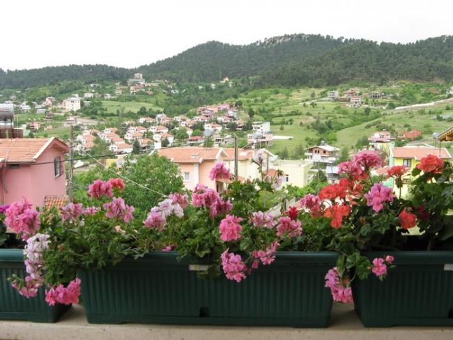 Name:  27terastan.jpg
Views: 1526
Size:  57.8 KB