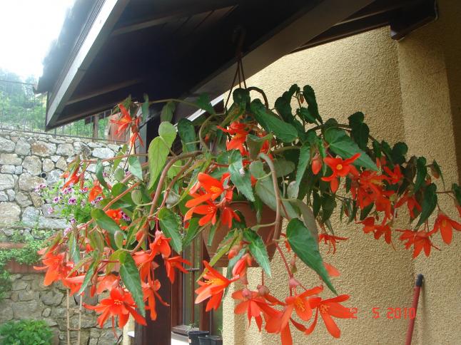 Name:  DSC9832.jpg
Views: 898
Size:  70.2 KB