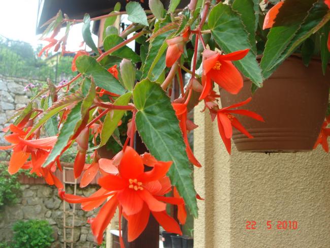 Name:  DSC9831.jpg
Views: 881
Size:  59.4 KB