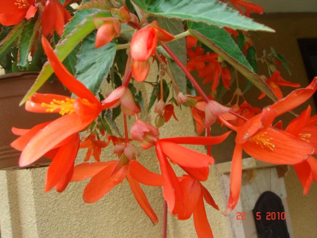 Name:  DSC9829.jpg
Views: 869
Size:  48.8 KB
