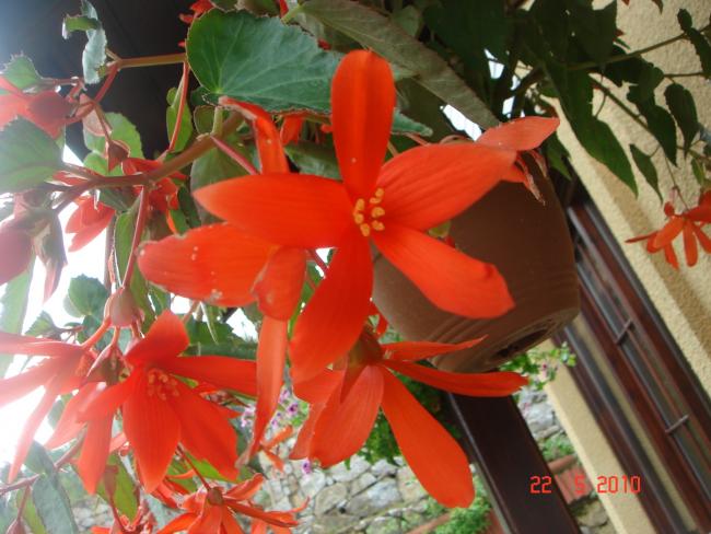Name:  DSC9830.jpg
Views: 847
Size:  50.9 KB
