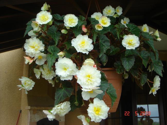 Name:  DSC9840.jpg
Views: 864
Size:  47.1 KB