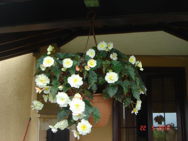 Name:  DSC9841.jpg
Views: 833
Size:  41.0 KB