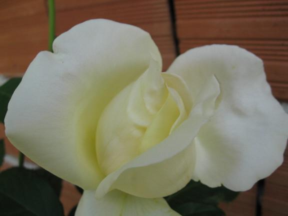 Name:  sar gl.JPG
Views: 2782
Size:  22.6 KB