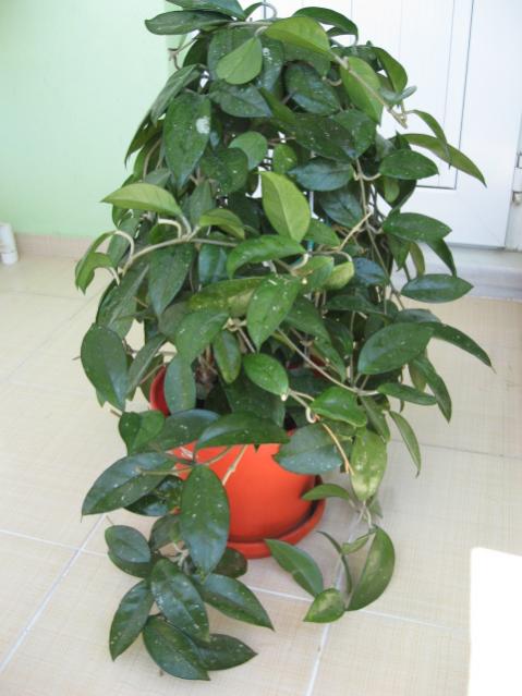 Name:  Resim 002.jpg
Views: 3413
Size:  41.4 KB