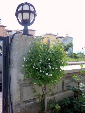 Name:  Resim 038.jpg
Views: 1736
Size:  52.0 KB