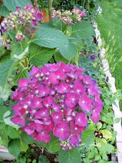 Name:  Resim 017-1.jpg
Views: 1697
Size:  54.1 KB