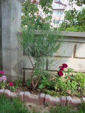 Name:  Resim 031.jpg
Views: 1673
Size:  35.9 KB