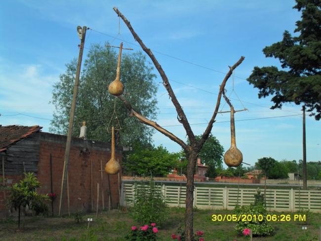 Name:  Resim 858.jpg
Views: 960
Size:  52.5 KB