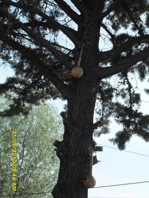 Name:  Resim 875.jpg
Views: 876
Size:  71.4 KB