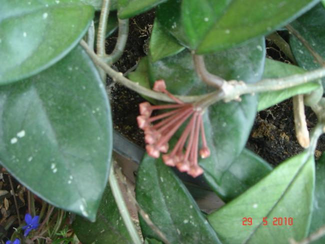 Name:  DSC00017.jpg
Views: 799
Size:  41.3 KB