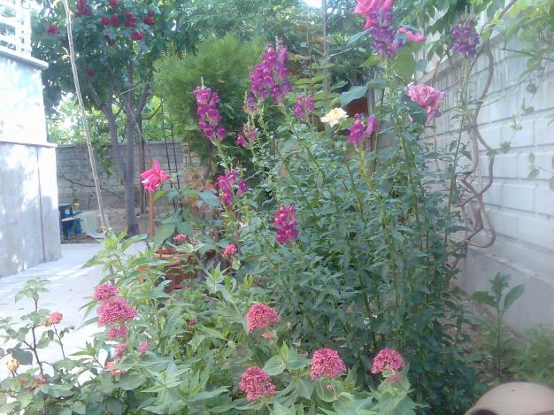 Name:  Grnt344.jpg
Views: 646
Size:  70.6 KB