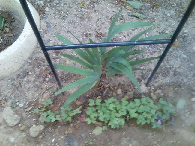 Name:  Grnt345.jpg
Views: 662
Size:  60.0 KB