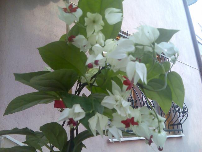 Name:  Grnt354.jpg
Views: 644
Size:  38.1 KB