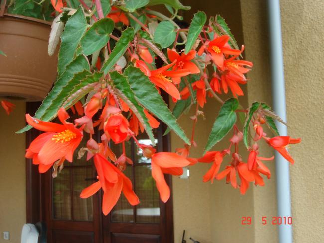Name:  DSC00002.jpg
Views: 782
Size:  50.1 KB