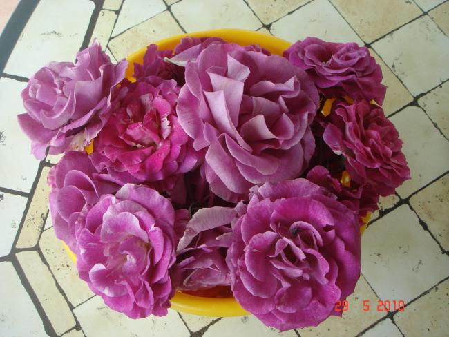 Name:  DSC00182.jpg
Views: 804
Size:  54.7 KB