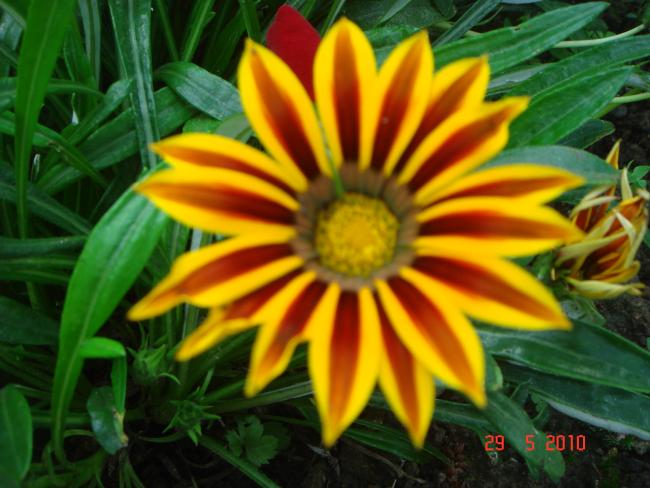 Name:  DSC00298.jpg
Views: 727
Size:  49.0 KB