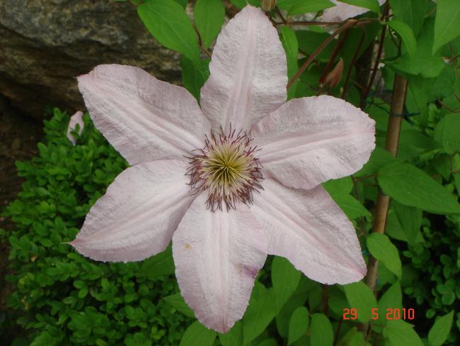 Name:  DSC00259.jpg
Views: 738
Size:  45.9 KB