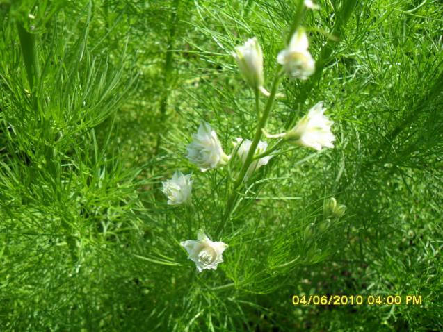 Name:  Resim 920.jpg
Views: 871
Size:  70.4 KB