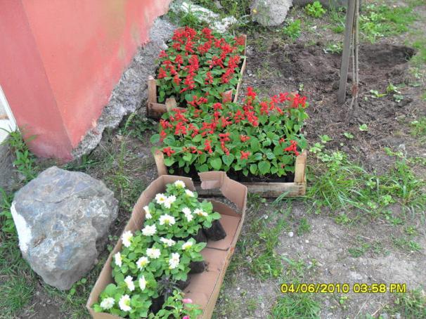Name:  Resim 916.jpg
Views: 1443
Size:  71.0 KB