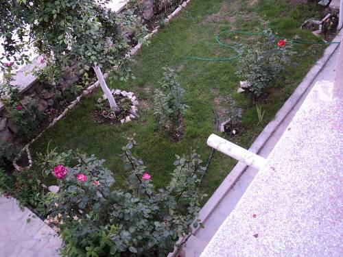 Name:  dsc00059p_500x375.jpg
Views: 694
Size:  66.8 KB