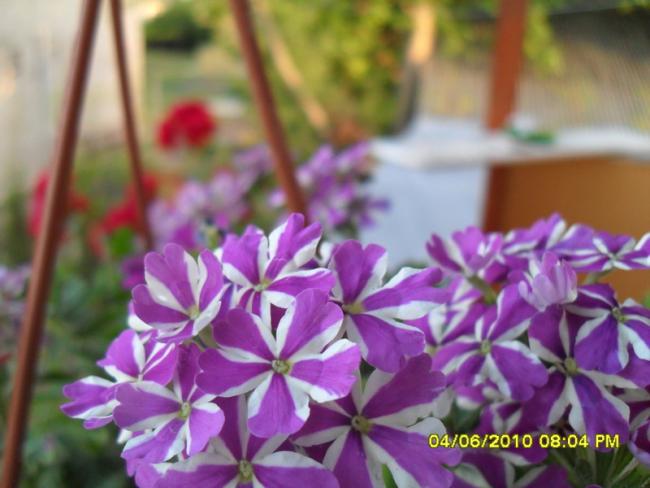 Name:  Resim 924.jpg
Views: 904
Size:  41.8 KB