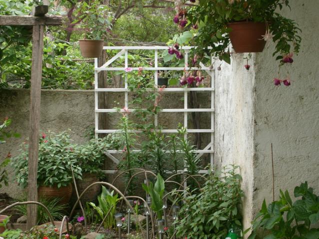 Name:  S6308110.jpg
Views: 409
Size:  70.4 KB