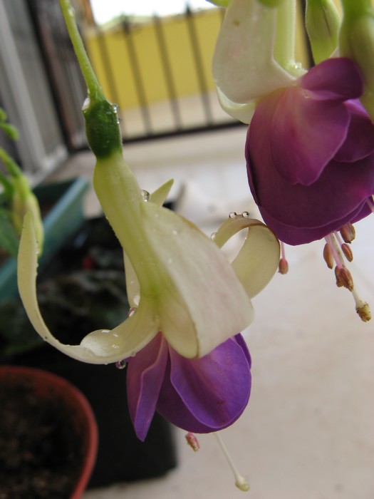 Name:  kpe mavi.jpg
Views: 886
Size:  59.2 KB