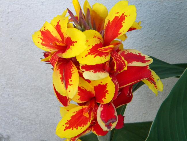 Name:  Resim 044.jpg
Views: 1098
Size:  46.6 KB