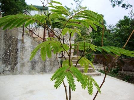 Name:  DSC02313.JPG
Views: 1063
Size:  43.6 KB